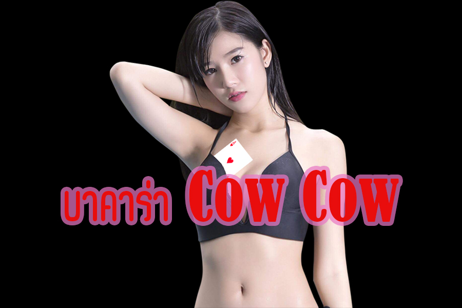 บาคาร่า cow cow