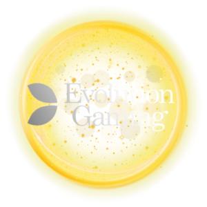 Evolution Gaming คาสิโนออนไลน์